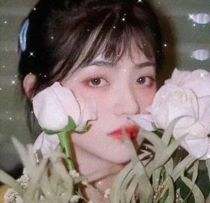 胡桃夹子和四个王国